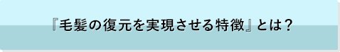 『毛髪の復元を実現させる特徴』とは？