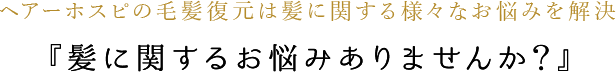ヘアーホスピの毛髪復元は髪に関する様々なお悩みを解決『髪に関するお悩みありませんか？』