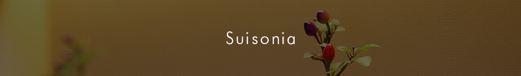 Suisonia